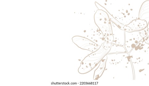 Decorative light background with maple seeds. Card template design. Vector illustration.