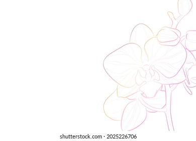 Decorative light background with orchid flower. Card template design. Vector illustration.