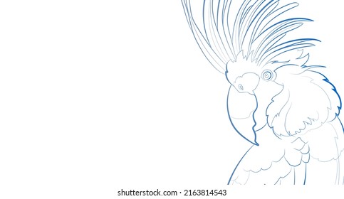 Decorative light background with palm cockatoo (head). Card template design. Vector illustration.
