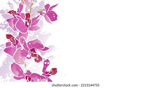 Decorative light background with pink flowers (Phalaenopsis). Card template design. Vector illustration.