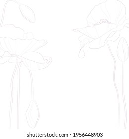 Decorative light background with poppy flowers. Card template design. Vector illustration.