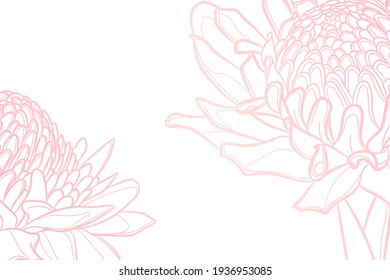 Decorative light background with torch ginger flowers. Card template design. Vector illustration.