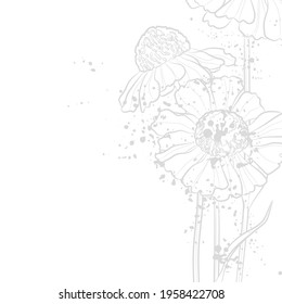 Decorative light background with wildflowers (Helenium). Card template design. Vector illustration.
