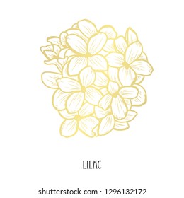 Decorative  lilac flowers, design elements. Can be used for cards, invitations, banners, rsvp, posters, print design. Golden flowers