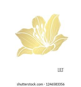 Decorative lily flower, design element. Can be used for cards, invitations, banners, posters, print design. Golden flowers