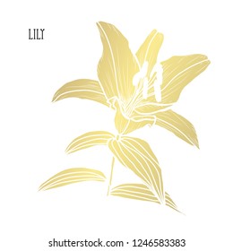 Decorative lily flower, design element. Can be used for cards, invitations, banners, posters, print design. Golden flowers