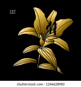 Decorative lily flower, design element. Can be used for cards, invitations, banners, posters, print design. Golden flowers