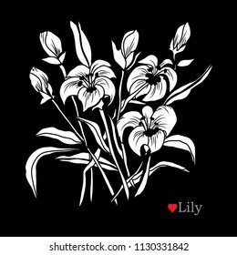 Decorative lily flowers, design elements. Can be used for cards, invitations, banners, posters, print design. Floral background in line art style