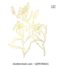 Decorative lily flowers, design elements. Can be used for cards, invitations, banners, posters, print design. Golden flowers