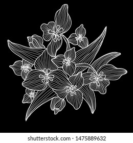 Decorative lily flowers, design elements. Can be used for cards, invitations, banners, posters, print design. Floral background in line art style