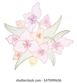 Decorative lily flowers, design elements. Can be used for cards, invitations, banners, posters, print design. Floral background in line art style