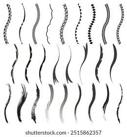 Decorative line brush set. Various black strokes and patterns. Curved and dynamic shapes. Bold artistic design.