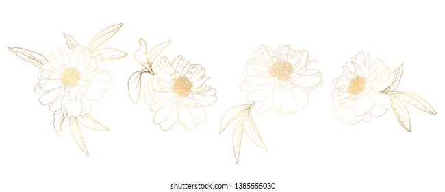 Decorative line golden camelia peony flowers set, design elements. Can be used for invitations, banners, posters, print design. Floral background in line art style. Sketch Floral Botany collection.