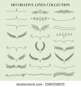 decorative line set collection vector template