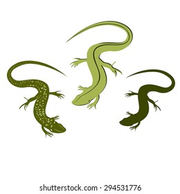 Decorative lizard. Graphic style of lizard isolated on white background.  Vector lizard icons. Set of lizard in flat style.  Vector Decorative Lizard. Color green lizard.