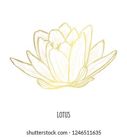 Decorative lotus flower, design element. Can be used for cards, invitations, banners, posters, print design. Golden flowers