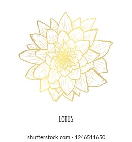 Decorative lotus flower, design element. Can be used for cards, invitations, banners, posters, print design. Golden flowers