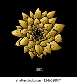 Decorative lotus flower, design element. Can be used for cards, invitations, banners, posters, print design. Golden flowers