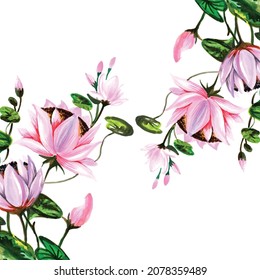 Decorative louts flowers background vector design illustration