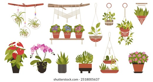 Decorative Macrame hangers for plants growing in pots. Houseplant hang on knitted rope. Succulent, orchid, azalea, violet and anthurium blossom flowers. Vector flat illustrations set isolated