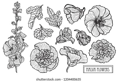 Decorative malva  flowers set, design elements. Can be used for cards, invitations, banners, posters, print design. Floral background in line art style
