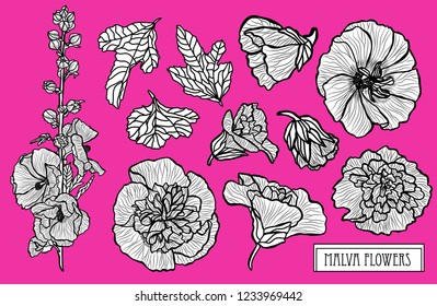 Decorative malva flowers set, design elements. Can be used for cards, invitations, banners, posters, print design. Floral background in line art style