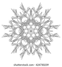 Decorative mandala. Vector illustration. Good for coloring book for adult and older children. Coloring page. Outline drawing.
