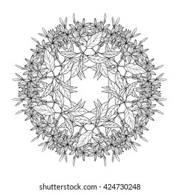 Decorative mandala. Vector illustration. Good for coloring book for adult and older children. Coloring page. Outline drawing.