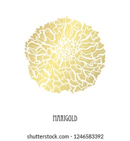 Decorative  marigold flower, design element. Can be used for cards, invitations, banners, posters, print design. Golden flowers