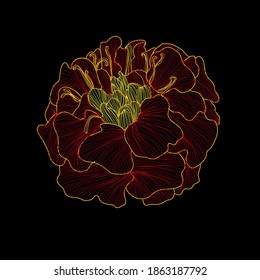 Decorative marigold flower, design element. Can be used for cards, invitations, banners, posters, print design. Floral background in line art style