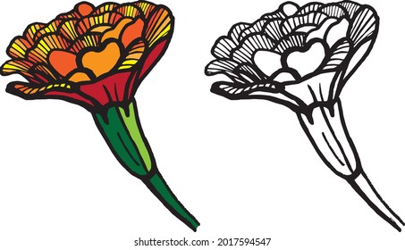 decorative marigold flower pattern in color and black and white