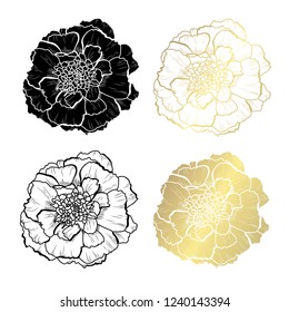 Decorative marigold flowers, design elements. Can be used for cards, invitations, banners, posters, print design. Golden flowers