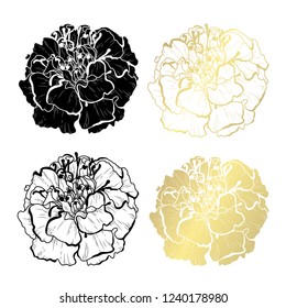 Decorative marigold flowers, design elements. Can be used for cards, invitations, banners, posters, print design. Golden flowers