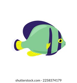 Decorative marine fish is green. Vector marine fish isolated on white background.