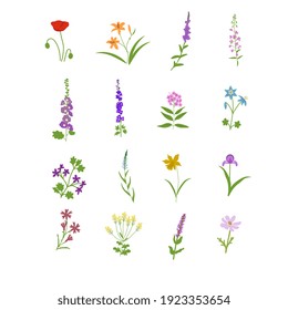 Decorative meadow flowers vector set