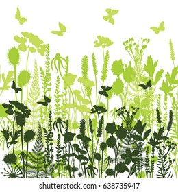 Decorative meadow silhouette of herbs and flowers illustration of wild flowers, herbs and grasses  