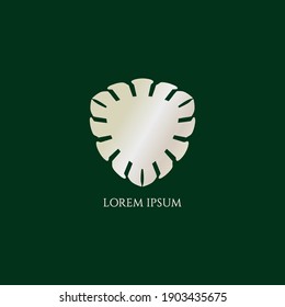 Decorative metallic military shield isolated on green color background. Stock vector illustration. Logo Design element.