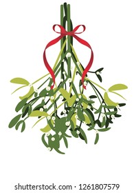 Decorative mistletoe branches with white berries illustration.