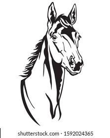 Decorative monochrome contour portrait of beautiful foal looking in profile, vector illustration in black color isolated on white background. Image for logo, design and tattoo. 