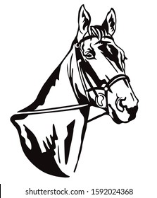 Decorative monochrome contour portrait of beautiful racing horse in bridle looking in profile, vector illustration in black color isolated on white background. Image for logo, design and tattoo. 