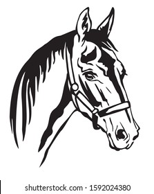 Decorative monochrome contour portrait of beautiful horse in halter looking in profile, vector illustration in black color isolated on white background. Image for logo, design and tattoo. 