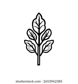 La rama decorativa de Moringa presenta siluetas de hojas detalladas, todas colocadas sobre un fondo transparente, ideal para proyectos de diseño que requieren simplicidad.