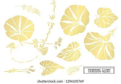 Decorative morning glory flowers, design elements. Can be used for cards, invitations, banners, posters, print design. Golden flowers