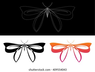 Decorative moth to decorate web games or sites
