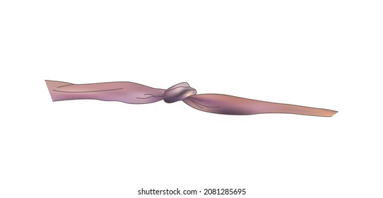 Decorative multicolor bow with long ribbon isolated on white background. Vector illustration
