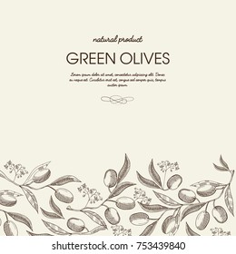 Decorative natural botanical sketch template with text and organic green olive branches on light background vector illustration