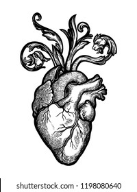Decorative naturalistic heart with baroque elements.Vintage gothic style inspired art. Vector illustration isolated. Tattoo design, trendy romance symbol for your use.