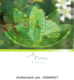 Decorative nature background with hand drawn flower