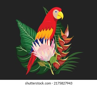 Decorative nature element colorful parrot flowers leaves sketch