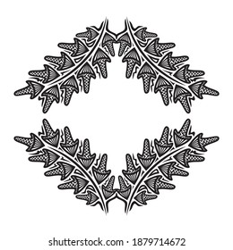 Marco de naturaleza decorativa. Ilustración del vector